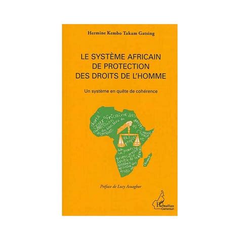 protection minorit s syst me africain droits Reader